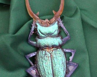Stag Beetle French barrette, color shift insect statement clip, Large 5 inches