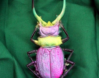 Stag Beetle French barrette, color shift insect statement clip, Large 5 inches