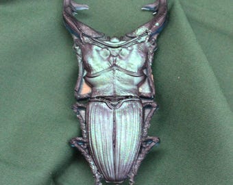 Large 4" Stag Beetle French barrette, color shift insect statement clip