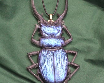 Faux taxidermy beetle necklace, unique resin bug jewelry gift for nature lovers