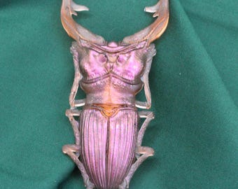 Large 4" Stag Beetle French barrette, color shift insect statement clip