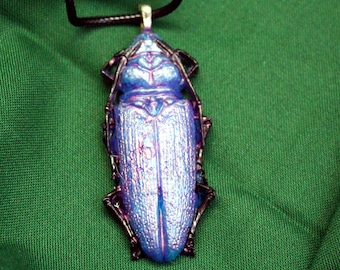 Blue Jewel Beetle Statement Necklace: Gothic Dark Academia Pendant, Insect Curio Jewelry
