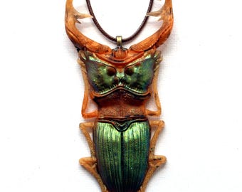 Large Stag Beetle Pendant Necklace, Gothic Dark Academia Insect Jewelry