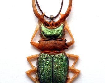 Stag Beetle Pendant Necklace | Dark Academia Gothic Statement Jewelry
