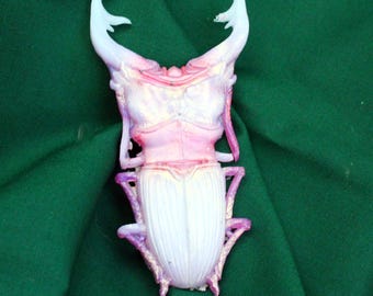 Stag Beetle French barrette, color shift insect statement clip, 4" hair decor