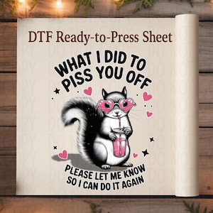 Sassy squirrel DTF transfer sheet ready to press with funny text, Valentine's attitude design