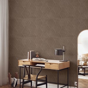 May include: A brown wall with a repeating geometric hexagon pattern. A wooden desk with a black metal frame, a desk lamp, books, and a chair are in front of the wall. A magazine rack and a mirror are also visible.