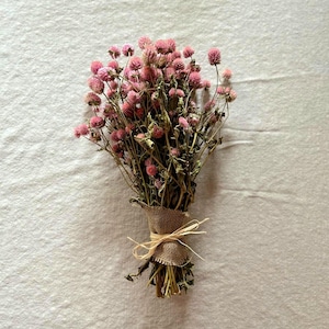 May include: A bunch of dried pink globe amaranth flowers, tied with burlap and raffia. The dried flowers have small, round, pink flower heads and are bundled together with dried stems. The burlap wrap is tied with a natural raffia bow.
