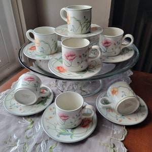 Vintage Villeroy and Boch Albertina Cups and Saucers