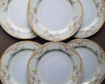 May include: A set of nine white ceramic dinner plates with a gold rim and floral pattern. The plates have a delicate floral design in shades of pink, yellow, and green.