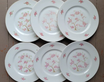 Vintage Scratch and Dent Hutschenreuther Floral Dinner Plates