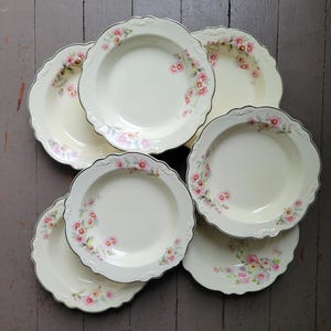 Scratch and Dent Vintage Homer Laughlin Virginia Rose Rimmed Soup Bowls