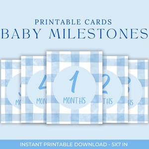 Blau karierte Baby Meilensteinkarten – 1 bis 12 Monate | Baby Foto Requisite | Sofortdownload | Junge-Baby-Dusche-Geschenk