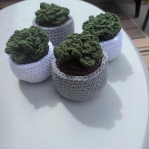 Crochet succulent plant in pot