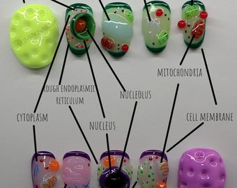 Biology Cell Handmade Press On Nails: Mitochondria Science STEM Girl High School Student Teacher 3D Unique Weird Style