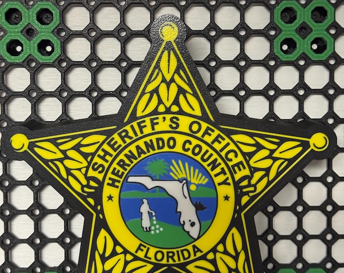 Hernando County sheriff's office badge LED light – 3D printed desk decor gift