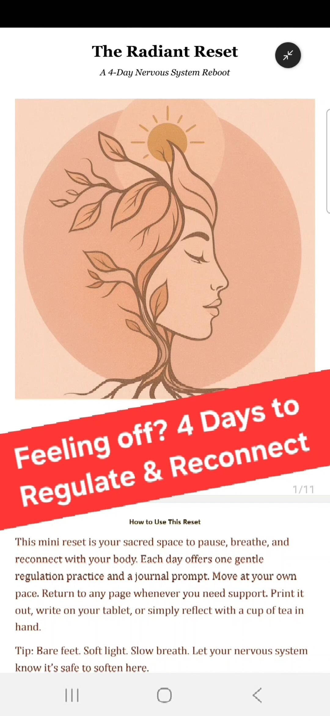 4-day Nervous System Reset Toolkit | Breathwork, Food, Journaling ...