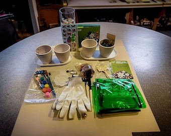 Kids DIY Vegetable Garden Kit - Paintable Pots & Grow Set for Ages 5-12 | Fun STEM Activity Gift with Seeds, Tools and Art Supplies