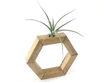 Contenedor de planta de aire
