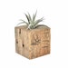 see more listings in the Air Plant Containers section