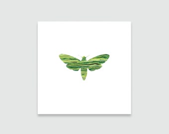 Pintura de polilla