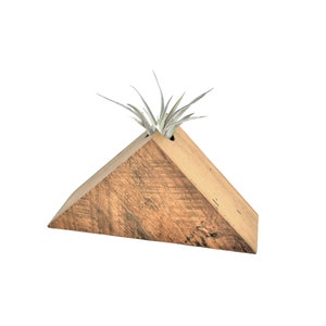 Air Plant Container