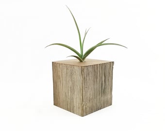 Contenedor de planta de aire
