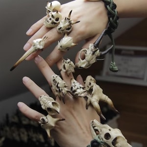 Op de afbeelding: Een verzameling botkleurige ringen, elk uniek gebeeldhouwd om op dierenschedels en skeletvormen te lijken. De ringen variëren in grootte en ontwerp en tonen ingewikkelde details en texturen. Een groen-zwarte gevlochten armband is ook zichtbaar.