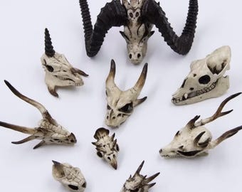 Dragon Zin-ogre Skull Articulated Jaw - Etsy