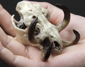 Nafinkesi Tusked Monster Skull, Handmade Resin Boar Skull Replica, Fantasy Creature Head, Gothic Home Decor, Curio Cabinet Oddity, Faux Bone