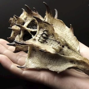 May include: A white ceramic mug with a black handle and the text "But First, Coffee" in a black, bold font. The mug is on a white surface.