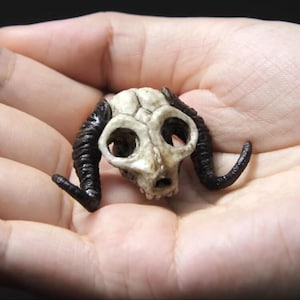May include: A small, detailed skull with dark, curved horns. The skull is off-white with visible bone structure, and the horns are a glossy black. The object is held in a hand, showcasing the intricate craftsmanship of the miniature sculpture.