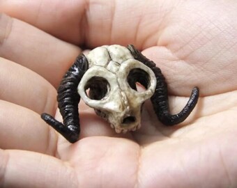 Handmade Resin Monster Skull "Glen" Miniature, Gothic Home Decor, Curio Cabinet Oddity, Witchy Gift, Faux Bone Art, D&D Prop, Dark Fantasy