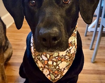 Pañuelo floral para perro sobre el collar