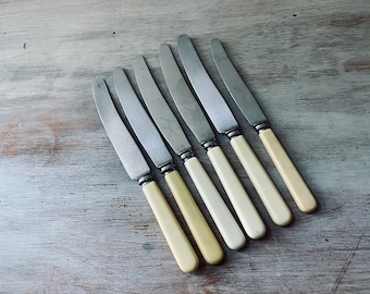 Six VINTAGE Assorted bone / faux bone handle knives.