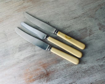 Three Assorted VINTAGE Bone Handle Knives. My vintage home.