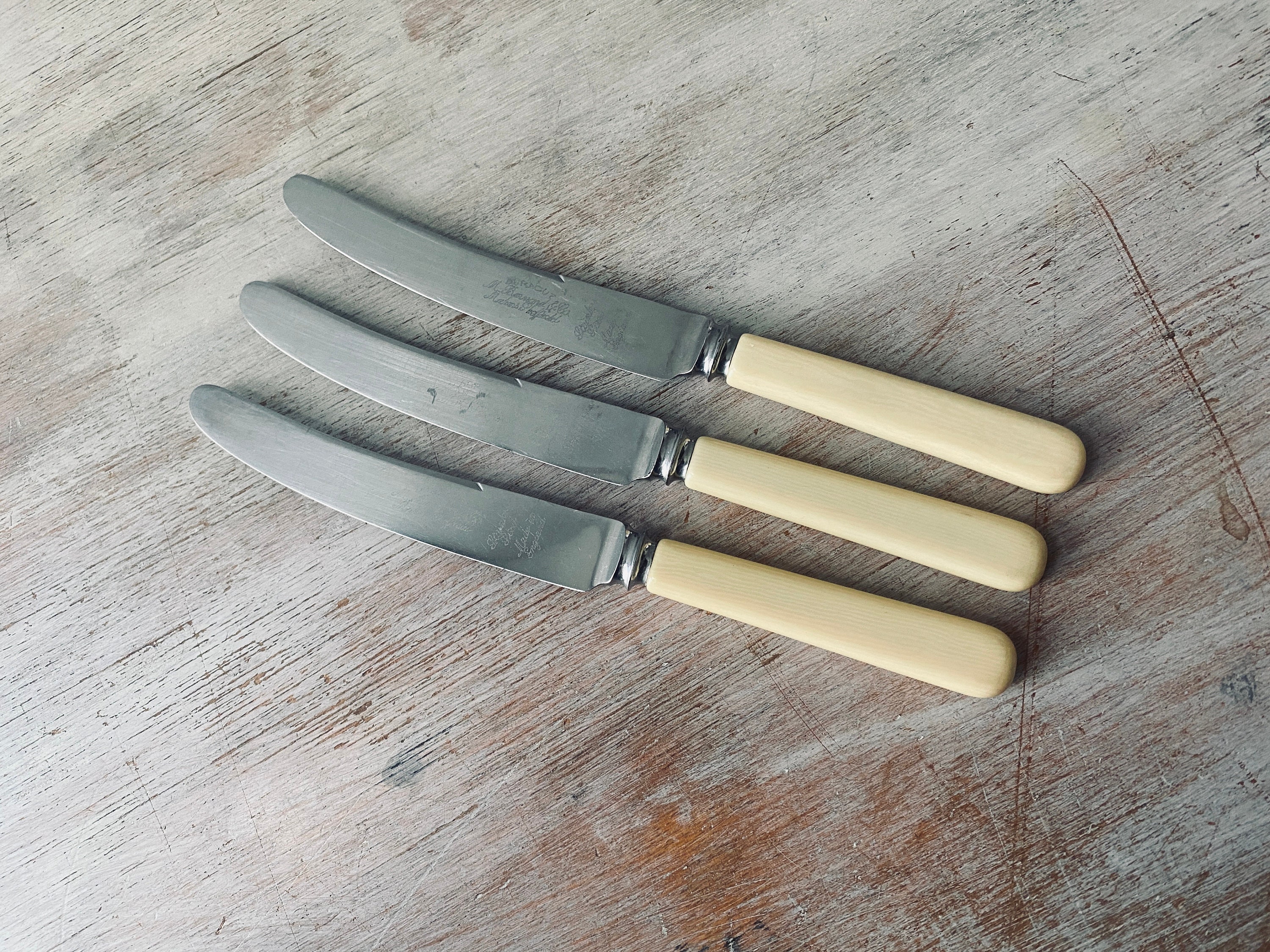Set Of 3 EPNS Fish Knives & Forks With Faux Bone Handles plus Butter Knife