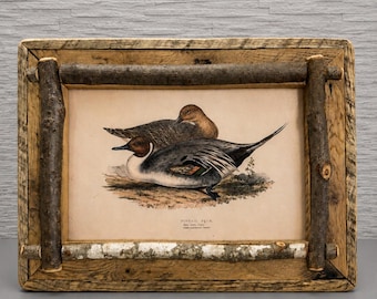 Décoration murale oiseaux | Affiche oiseau vintage | Tableau oiseau encadré | Cadre photo en chêne | Décoration murale chalet | Décoration maison au bord du lac | Décoration murale nature