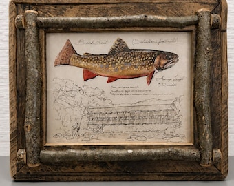 Vintage Fish Print | Fish Wall Art | Framed Fishing Art | Lake House Decor | Cabin Wall Art | Fishing Lodge Decor | Fisherman Gift