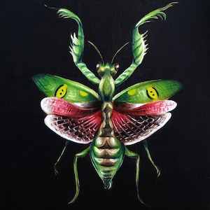 Puede incluir: Pintura detallada de una mantis religiosa sobre un fondo negro. El insecto se representa con alas verdes, rojas y blancas, y un cuerpo verde. Las alas tienen marcas amarillas y negras. La obra de arte es una vista de cerca.