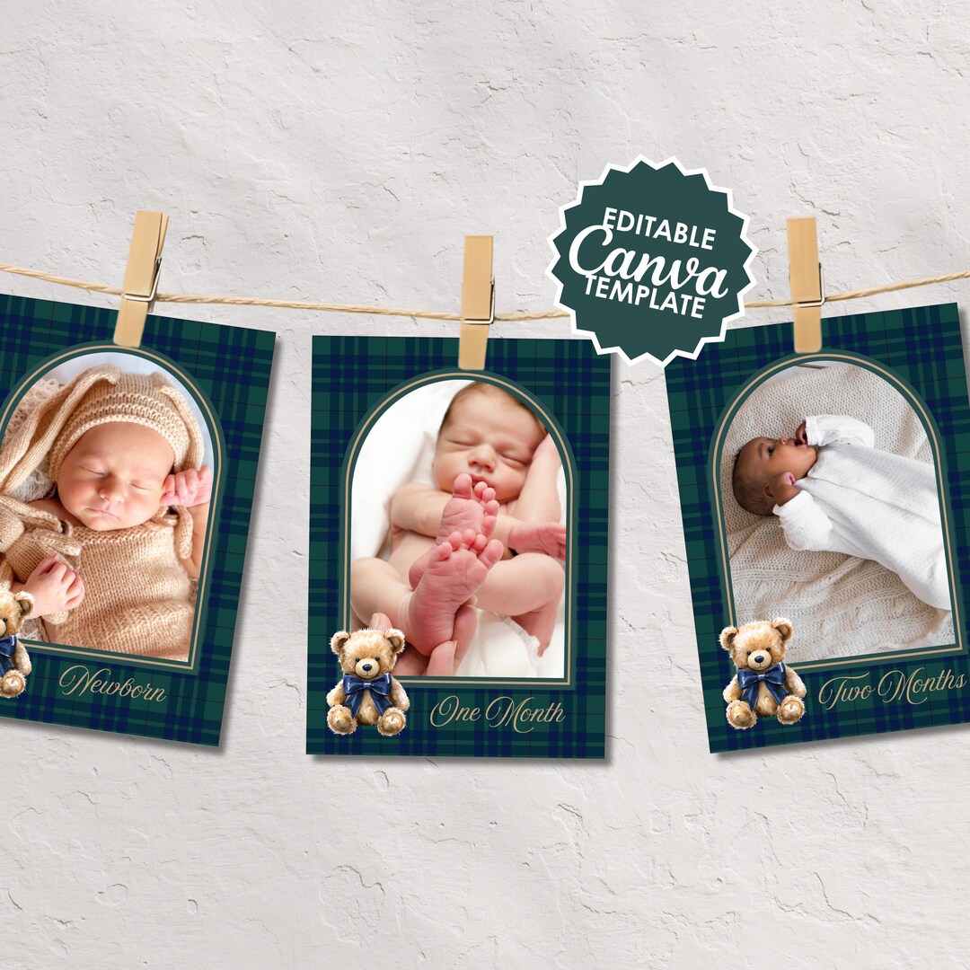Plaid Teddy Bear Birthday Monthly Photo Banner | Printable Canva ...