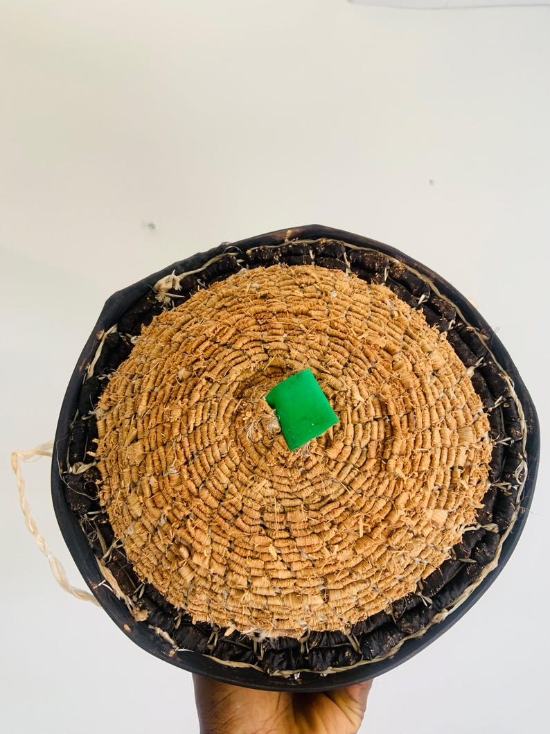 The Raffia Juju - Black