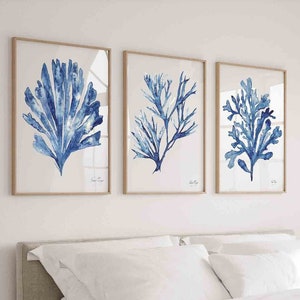 Modern Coral Seaweed Print Set of 3, Minimalist Wall Decor, Navy Blue Seaweed Watercolor Artwork, Botanical Illustration, Hamptons Wall Art