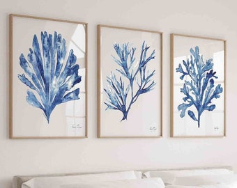 Modern Coral Seaweed Print Set of 3, Minimalist Wall Decor, Navy Blue Seaweed Watercolor Artwork, Botanical Illustration, Hamptons Wall Art