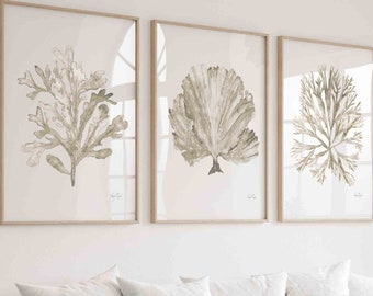 Watercolor Coral Seaweed Set of 3 Prints, Minimalist Wall Decor, Beige Neutral Ecru Watercolor Painting 3 Piece Set, Softness Art Print