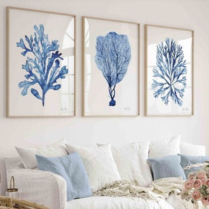 Coral Seaweed Navy Blue Indigo Wall Art Set of 3 Prints, Minimalist Hamptons Coastal Beachy Room Decor Nautical Vintage Style Botanical Art