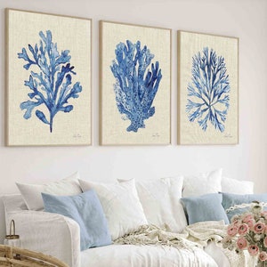 Coastal Hamptons Wall Art Set of 3 Navy Blue Coral Seaweed on Linen Look Background Minimalist Watercolor Beach House Spring Summer Art