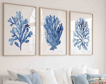 Nautical Wall Decor Coastal Wall Art Set of 3 Prints Navy Blue Coral Seaweed Minimalist Watercolor Painting Beach House Spring Summer Art