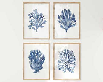 Coastal Nautical Hamptons Home Decor Navy Blue Coral Seaweed Wall Art Prints Set of 4