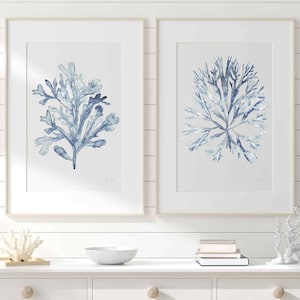 Set di 2 stampe di arte murale con alghe coralline in azzurro cielo, opera d'arte botanica ad acquerello, decorazione moderna per la casa sulla spiaggia costiera, set di arte murale in stile Hamptons